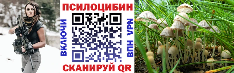 как найти закладки  darknet Telegram  Галлюциногенные грибы Psilocybe  Новоузенск 